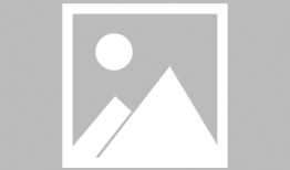 大连好生活爆料最新消息,最新动态速览，揭秘城市新鲜事